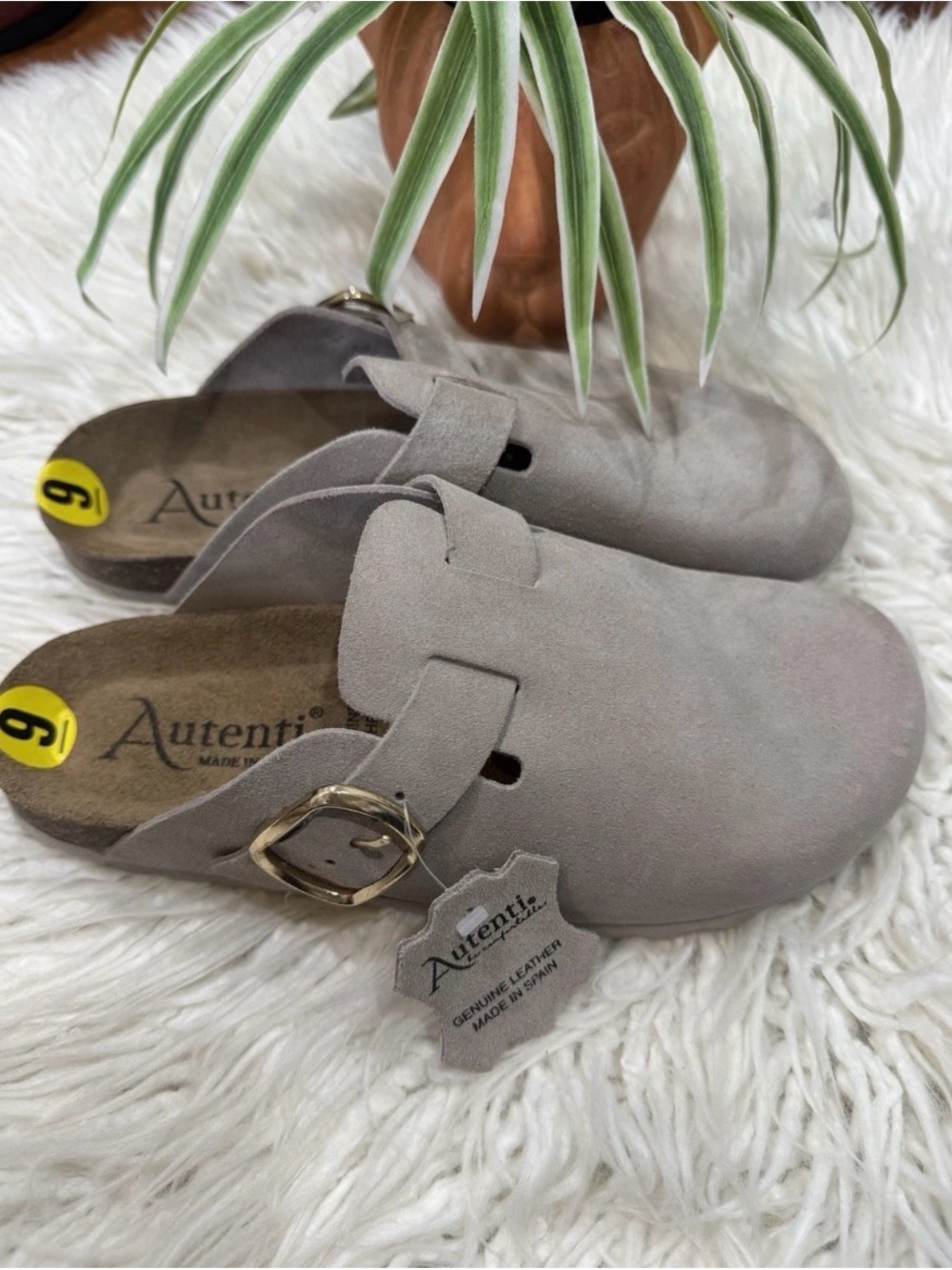 Women's Taupe Suede Slip-On Clog with Buckle